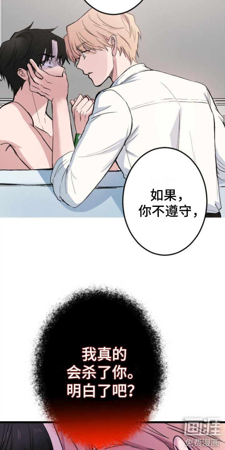 第5章：求饶