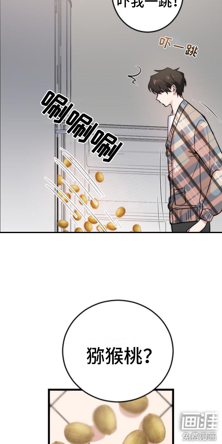 第7章：冰箱