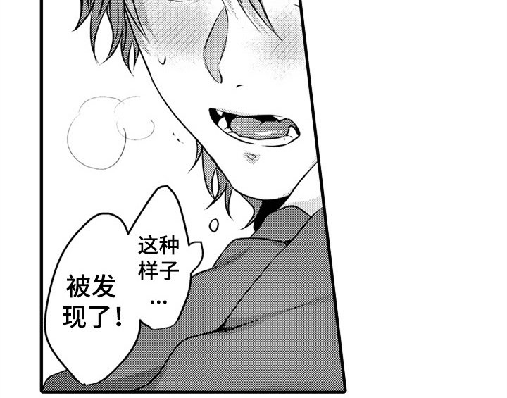 第1章：小偷