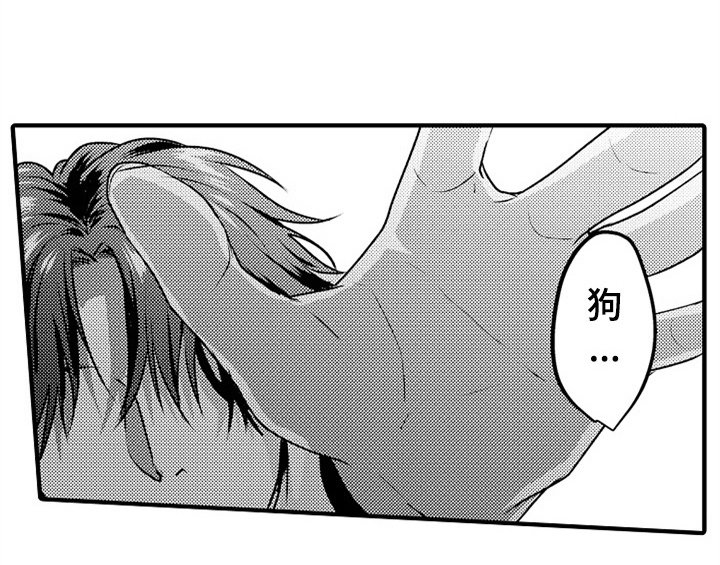 第1章：小偷
