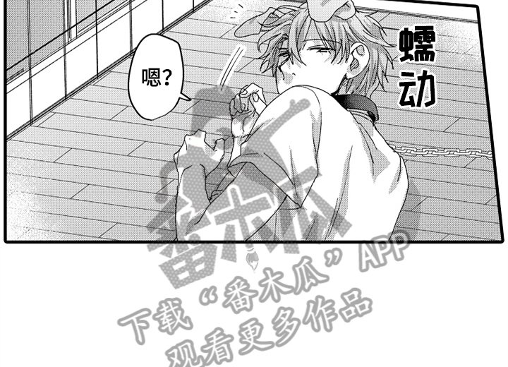 第12章：试药