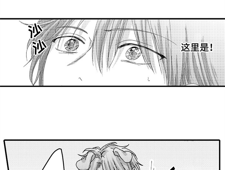 第12章：试药