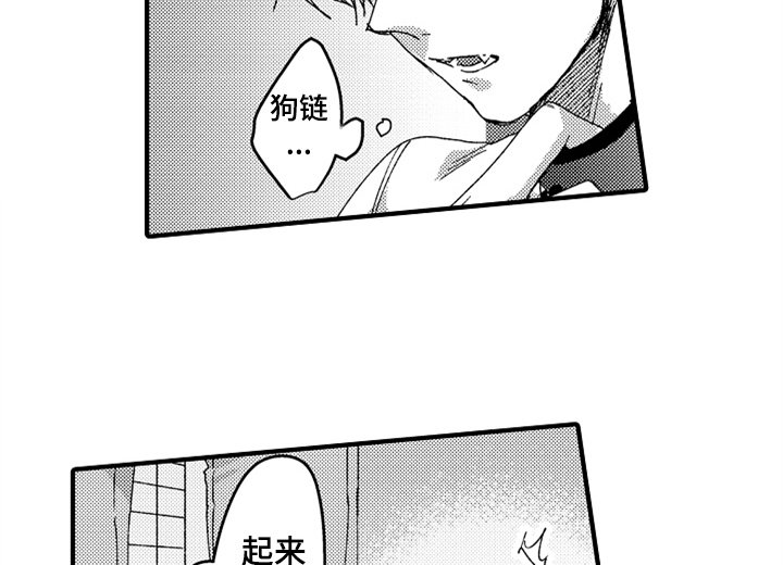 第12章：试药