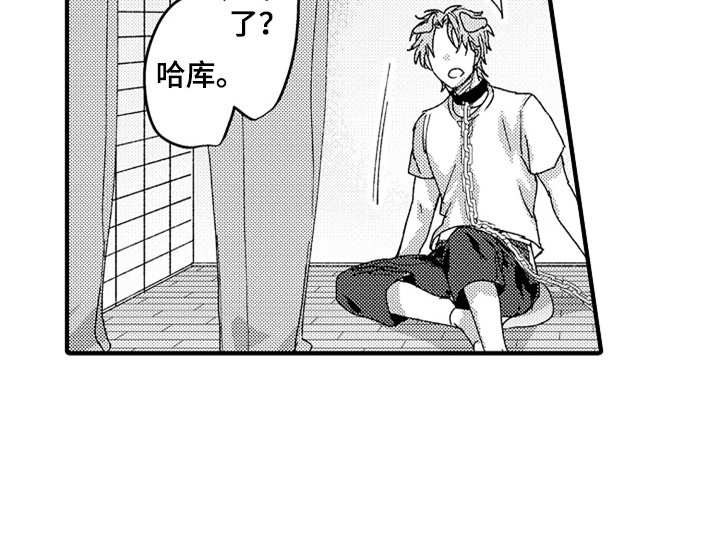 第12章：试药