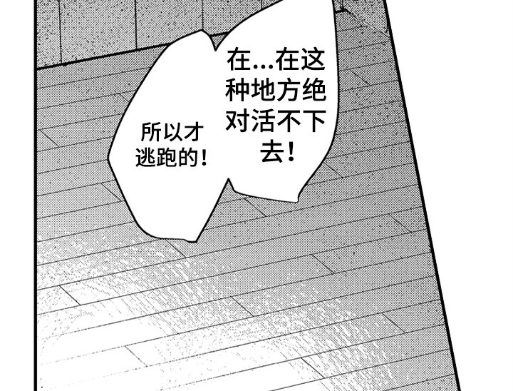 第12章：试药