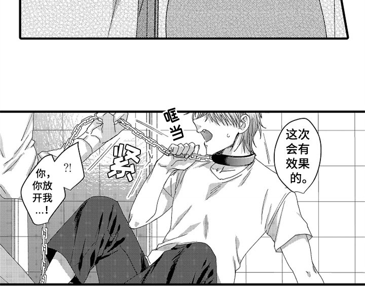 第12章：试药