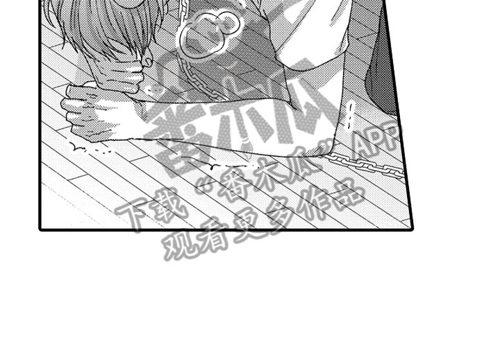 第13章：决定