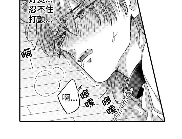 第13章：决定