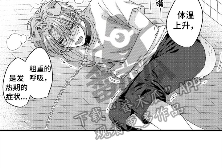 第13章：决定