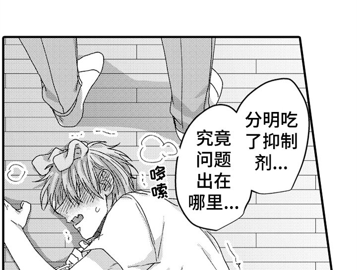 第13章：决定