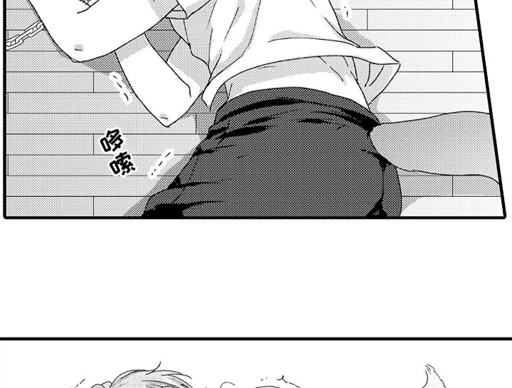 第13章：决定