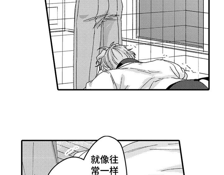 第13章：决定
