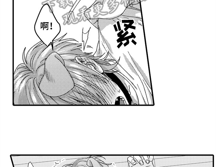 第13章：决定