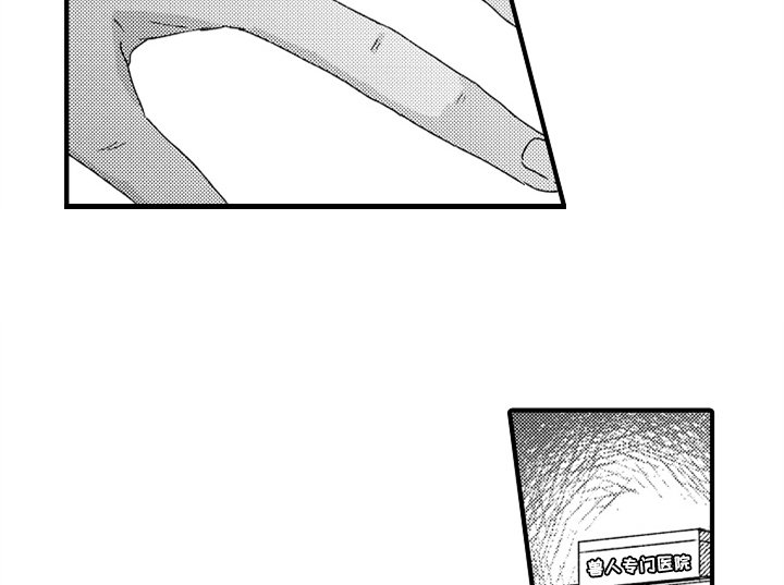 第13章：决定