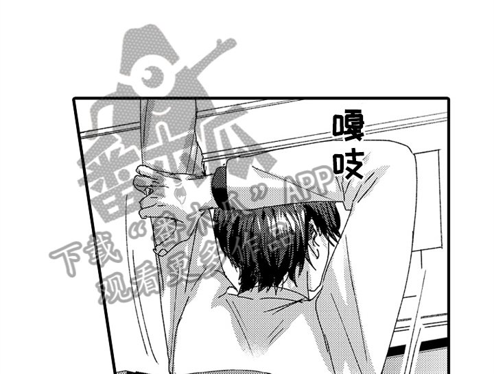 第13章：决定