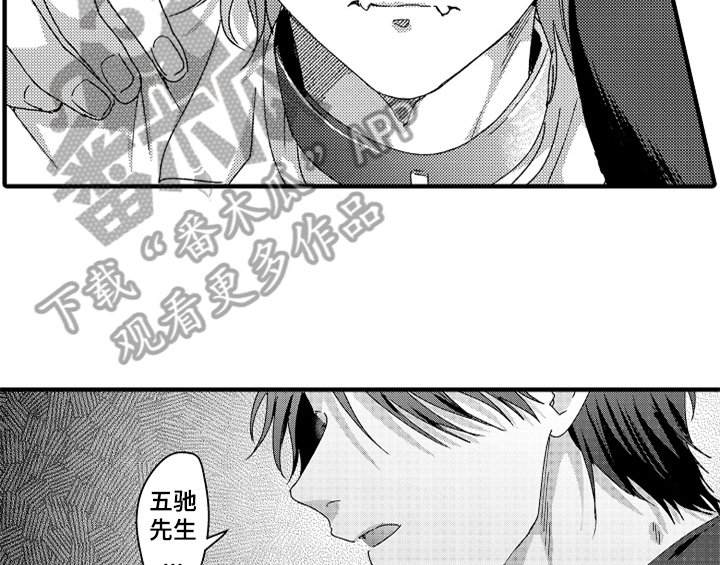 第15章：安排
