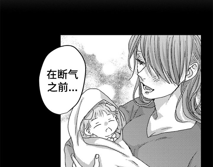 第15章：安排