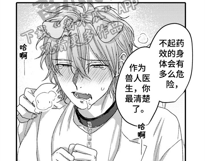 第15章：安排