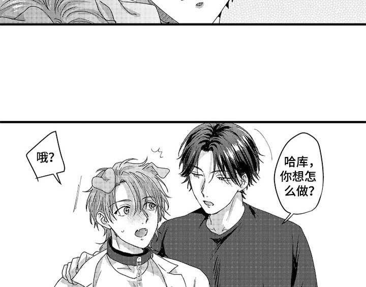 第15章：安排