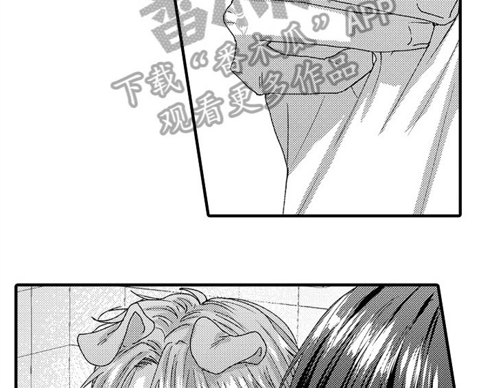 第15章：安排
