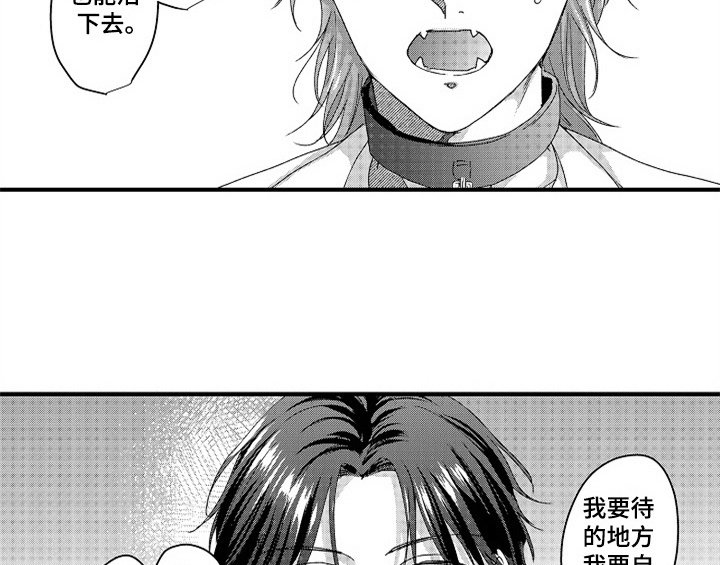第15章：安排