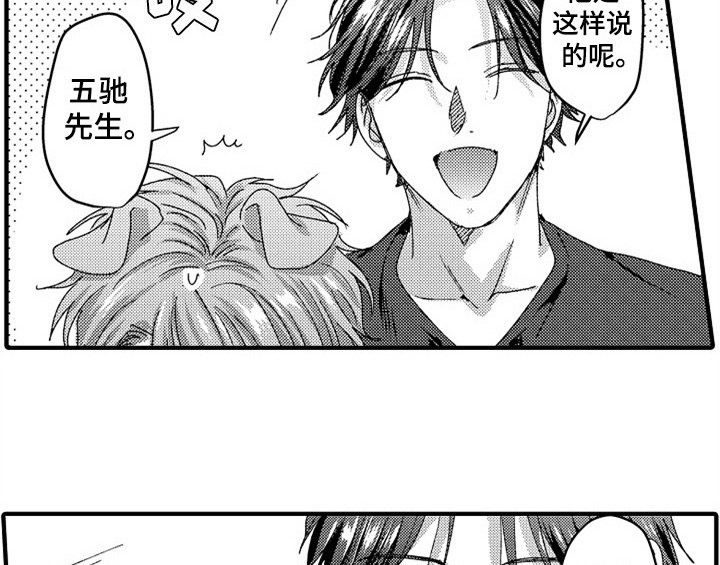 第15章：安排
