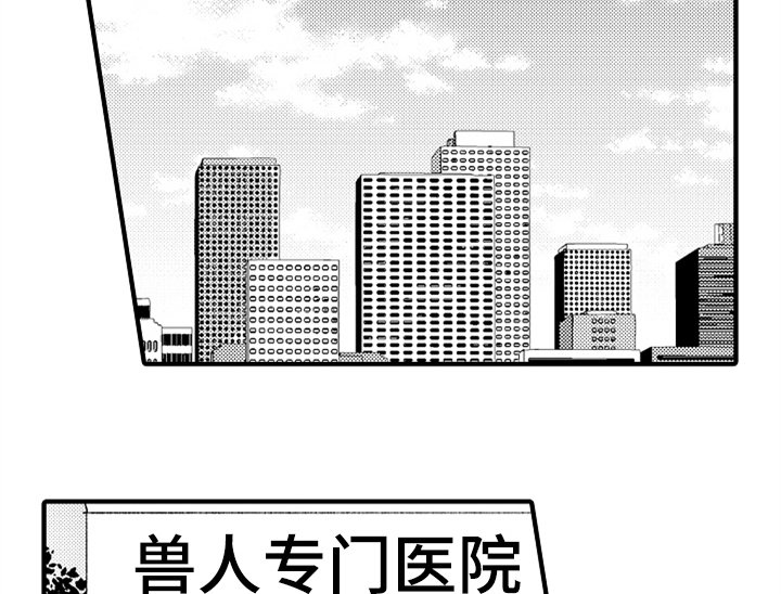 第16章：喜欢