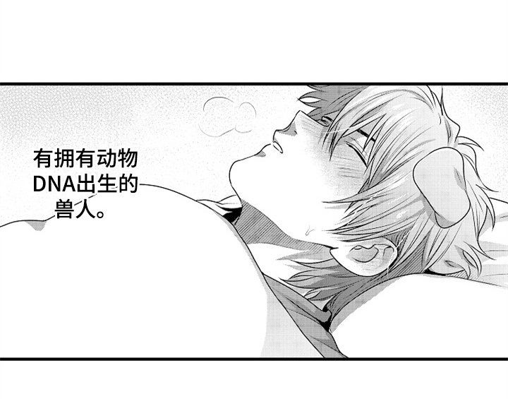 第2章：检查