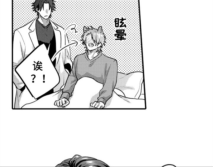 第2章：检查
