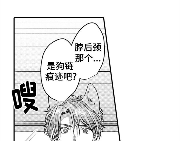 第5章：收留