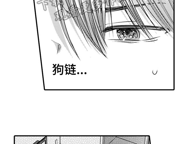 第5章：收留