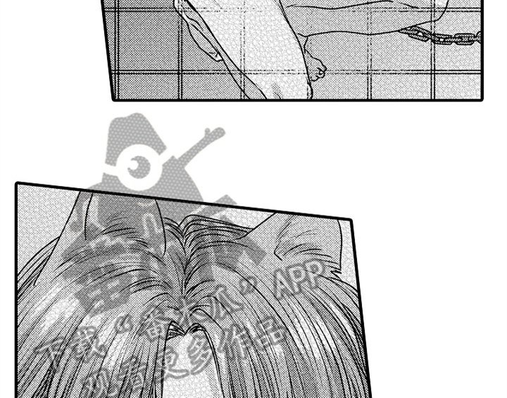 第5章：收留