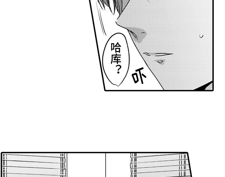 第5章：收留