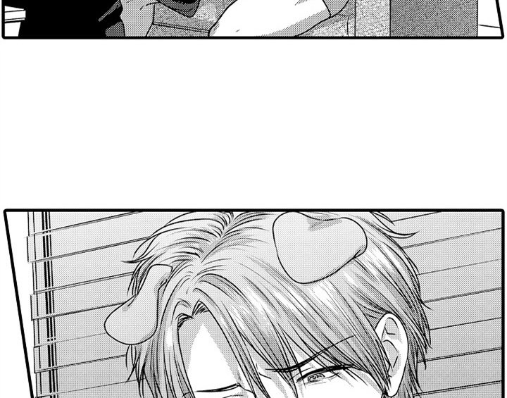 第5章：收留