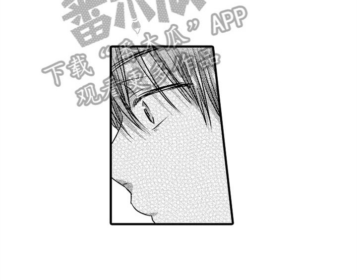 第5章：收留