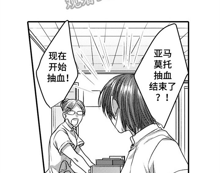 第5章：收留