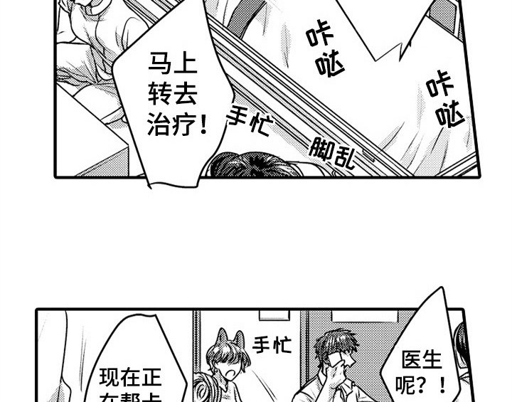 第5章：收留