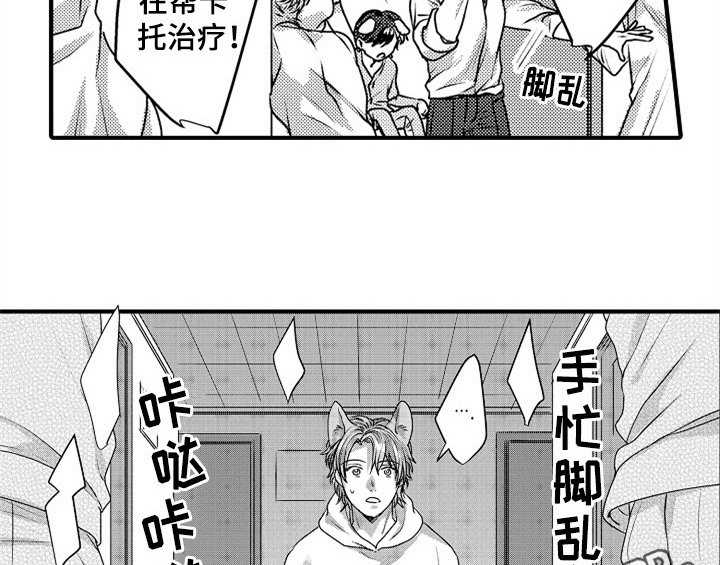 第5章：收留