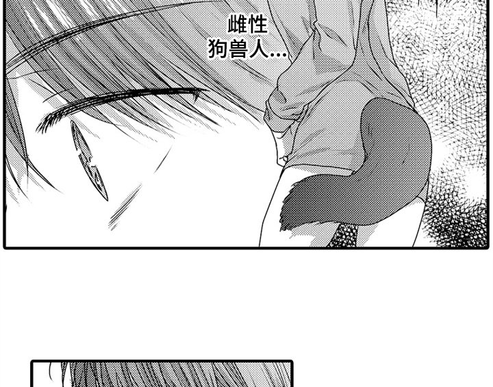 第7章：气味