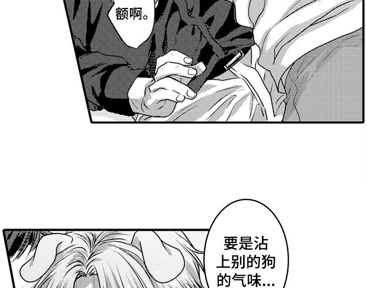 第7章：气味