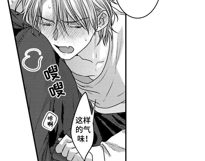 第7章：气味