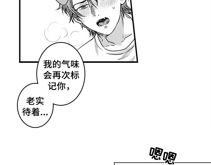 第7章：气味