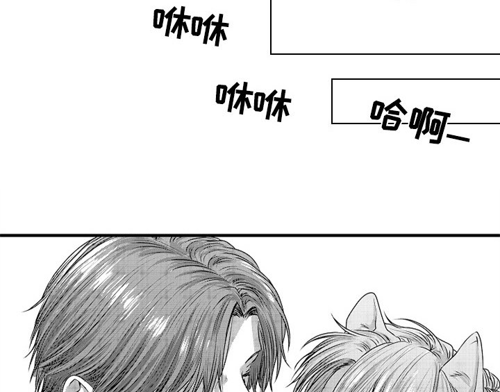 第7章：气味