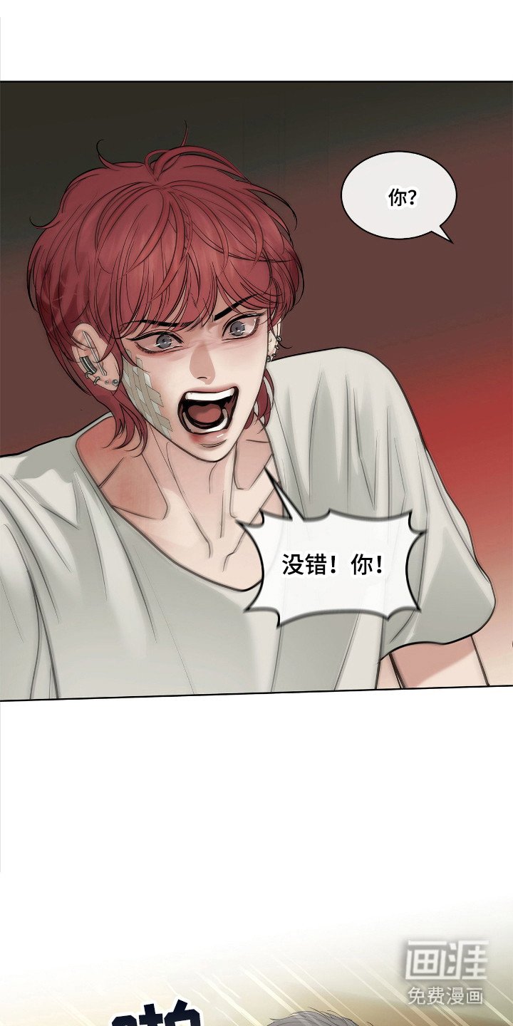 第14章：最大的问题