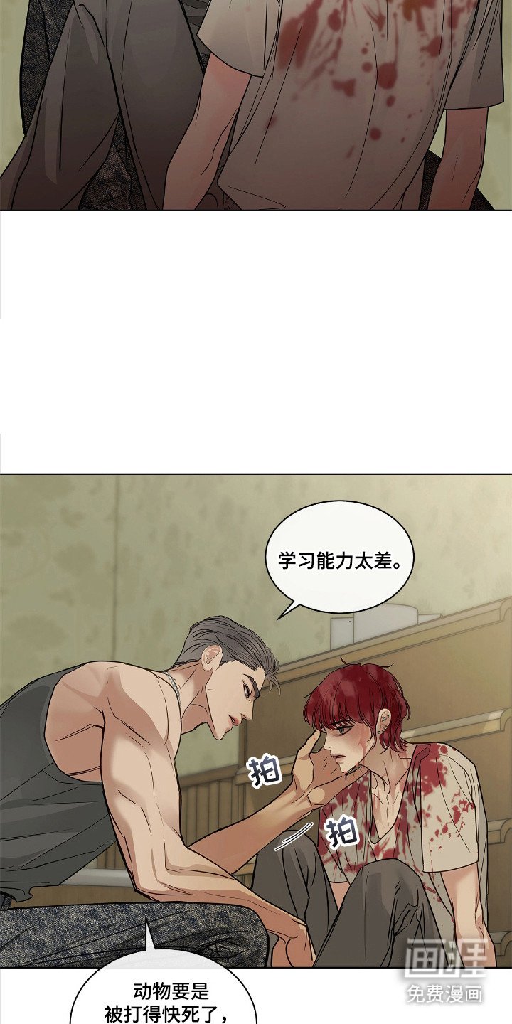 第14章：最大的问题