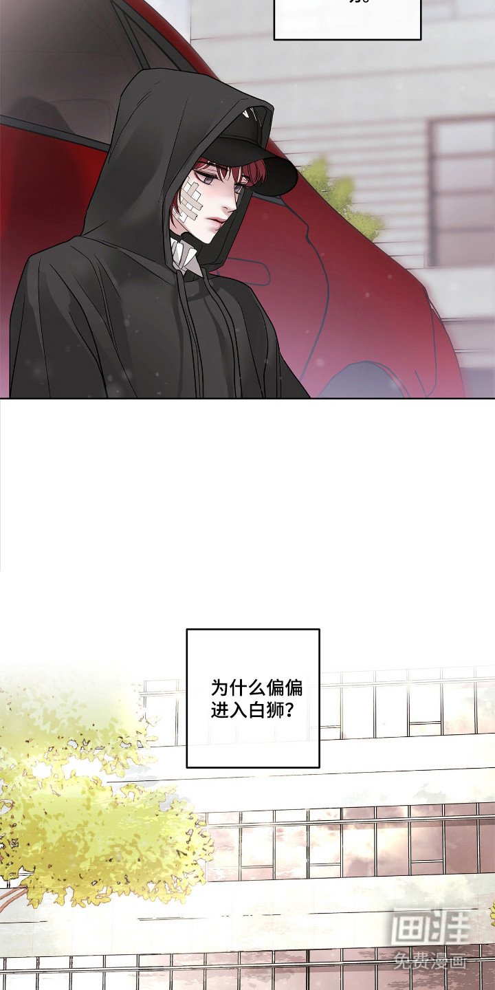 第19章：爆炸
