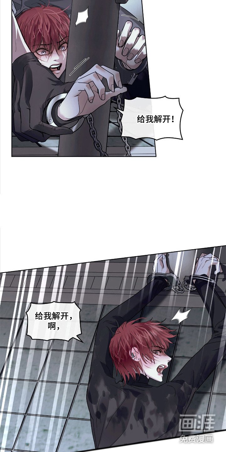 第24章：作用