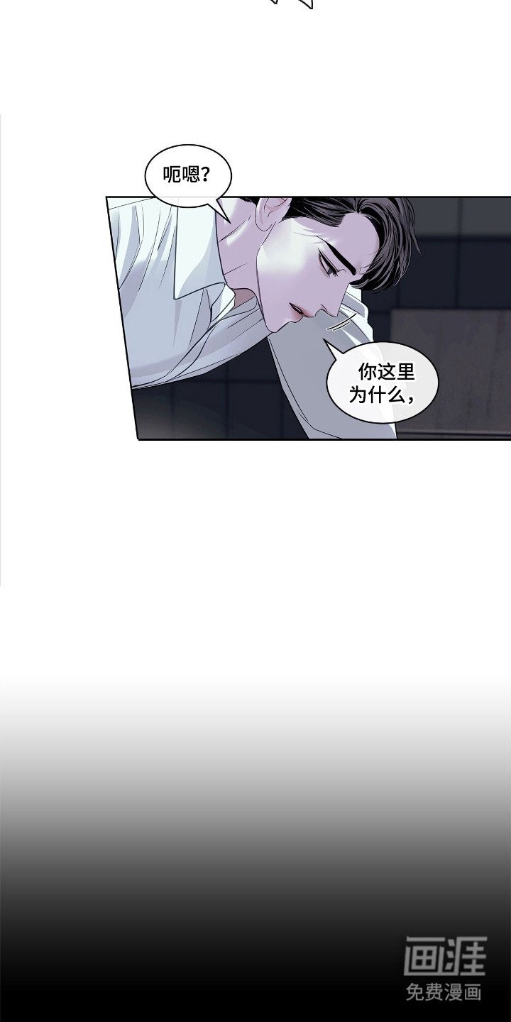第24章：作用