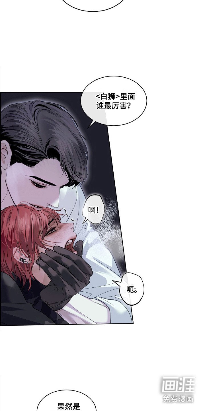 第24章：作用