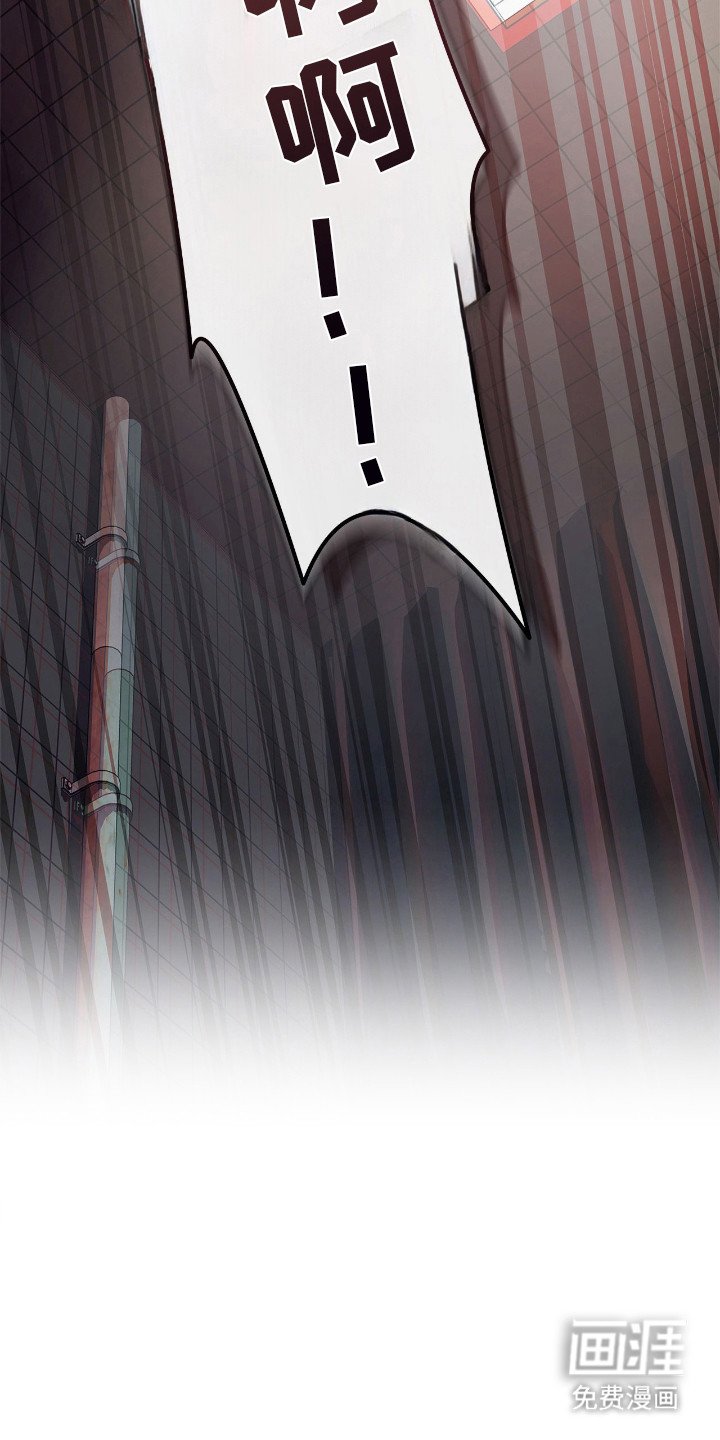第26章：白痴
